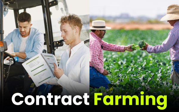 Contract Farming: Opportunity or Risk for Small Farmers