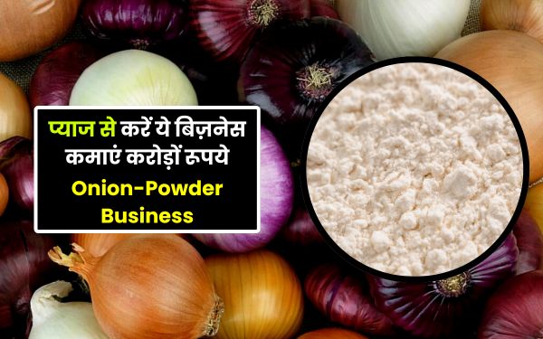 प्याज से करें यह बिजनेस करोड़ों रुपए कमाएं!