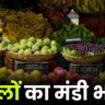 26 जून 2025: देखें आज कैसा रहा फलों का मंडी भाव!