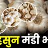 8 जून: आज 9000 रूपये प्रति क्विंटल तक पहुंचा लहसुन का भाव
