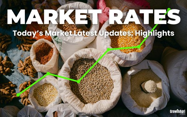 Today’s Market Rate Highlights – 12 September
